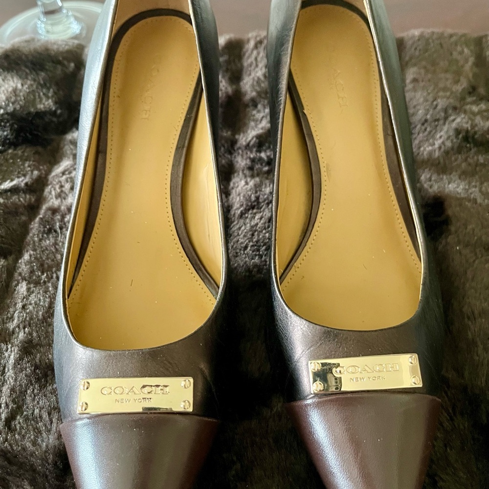 Coach Women's Black and Brown Leather Flats